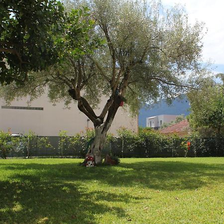 Holiday Lefkas Sunrise Luxury Appartments Nikiána Eksteriør bilde